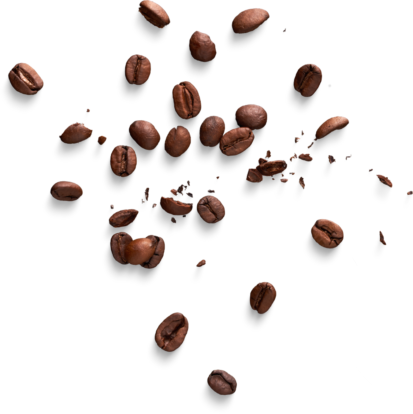 Background Beans